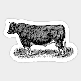 Black Bull Illustration Sticker